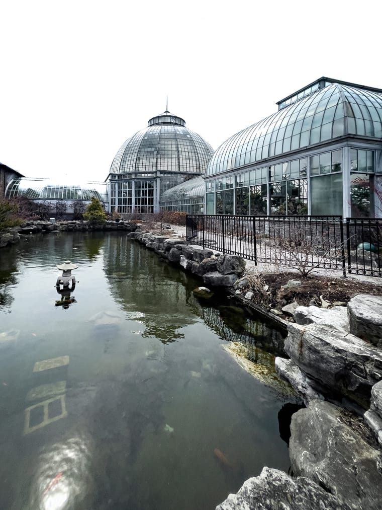 Belle Isle Koi Pond
