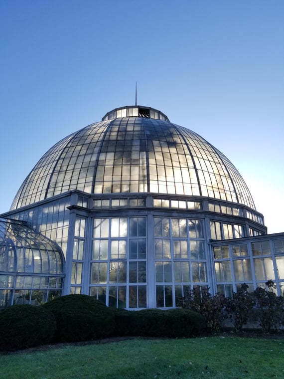 Belle Isle Palm House